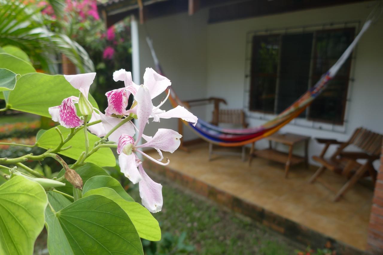 Hotel Escape Caribeno Puerto Viejo de Talamanca Exterior foto